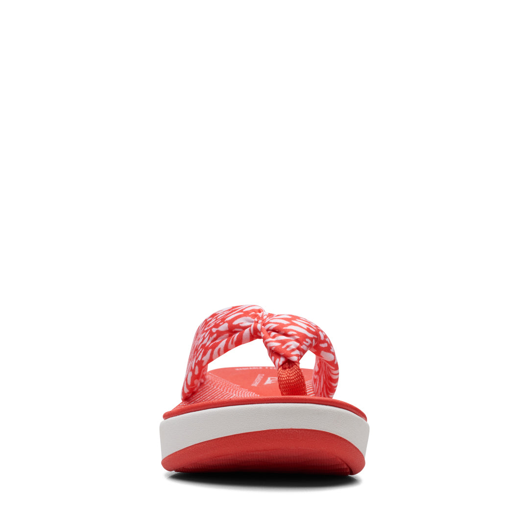 Cloudsteppers Arla Glison 2