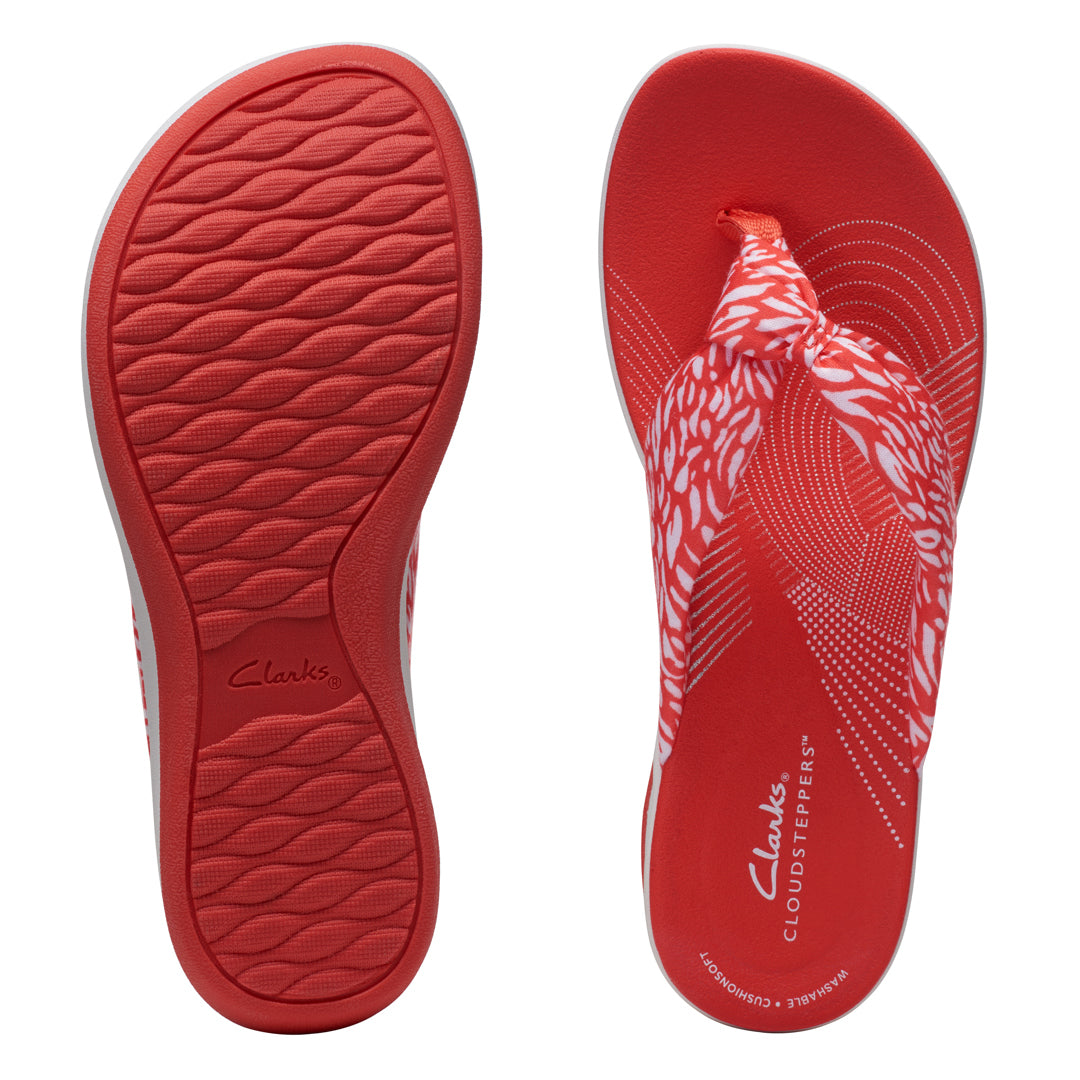 Cloudsteppers Arla Glison 2