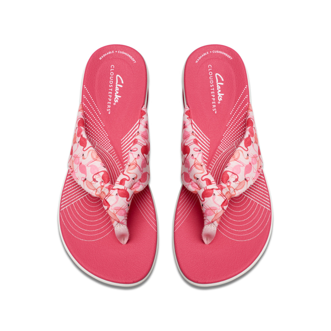 Cloudsteppers Arla Glison 2