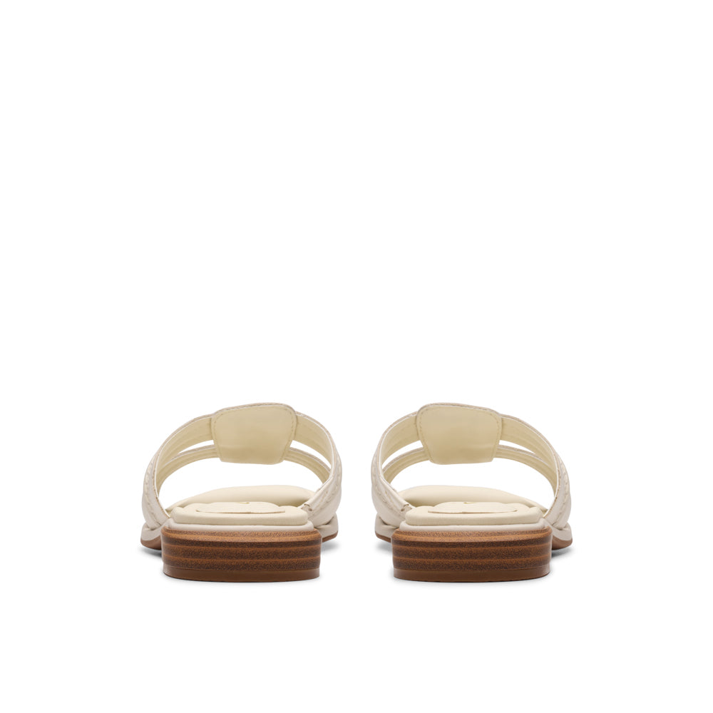 Ariany Mule