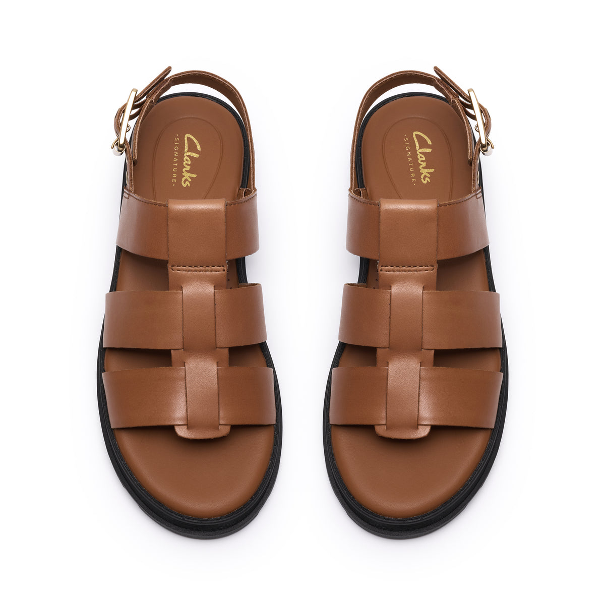 Orinoco3 Strap