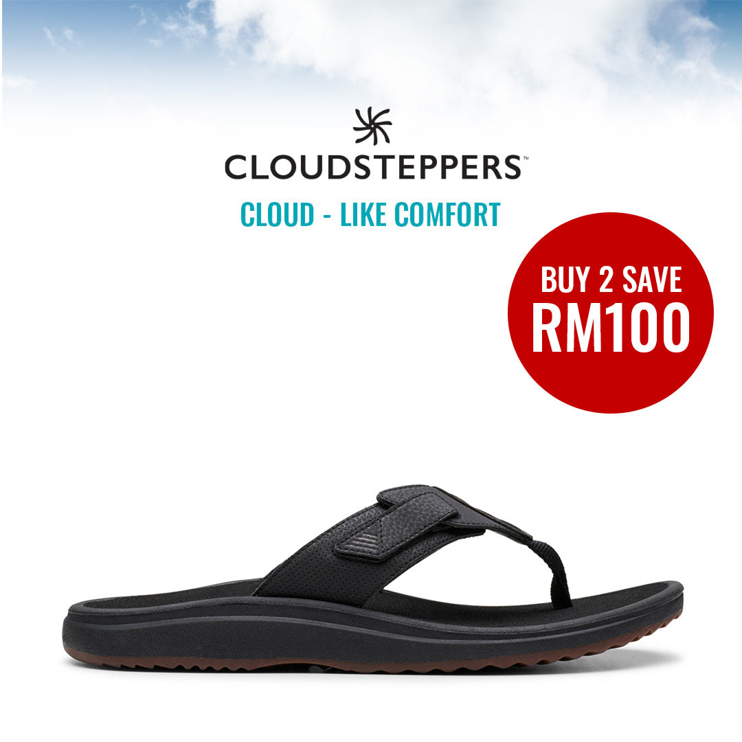 Cloudsteppers M Brinkley