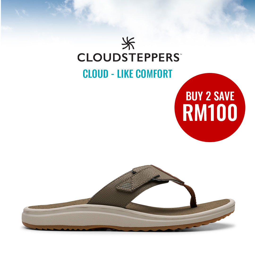 Cloudsteppers M Brinkley