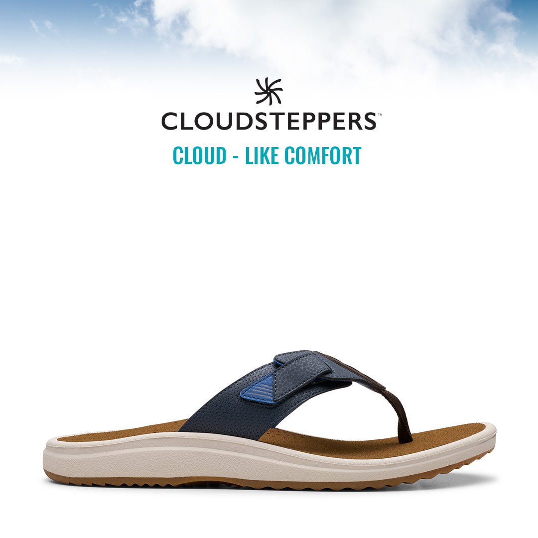 Cloudsteppers M Brinkley