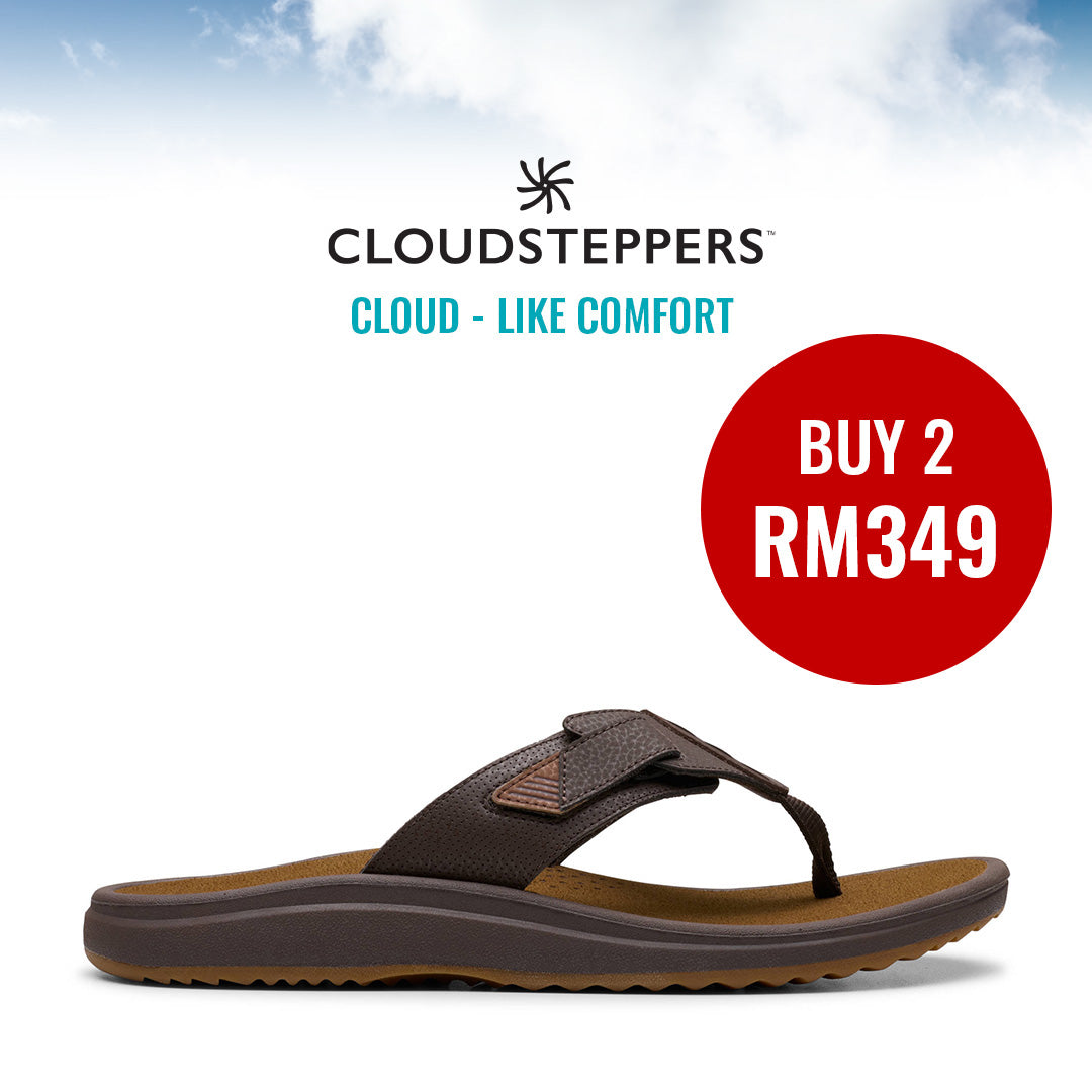 Cloudsteppers M Brinkley