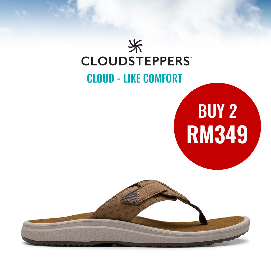 Cloudsteppers M Brinkley