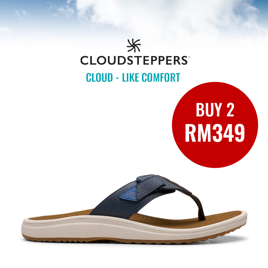 Cloudsteppers M Brinkley