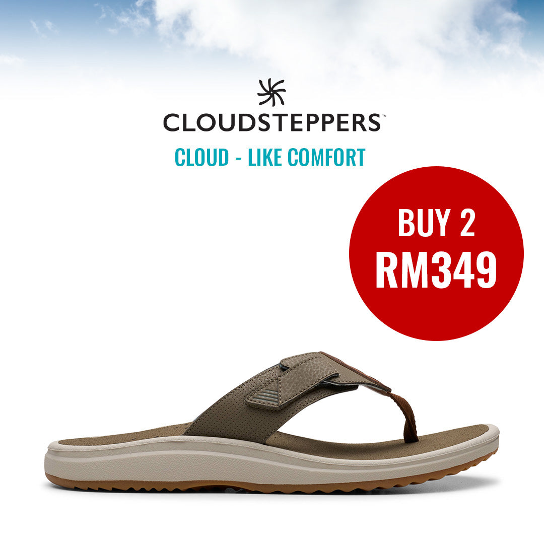 Cloudsteppers M Brinkley