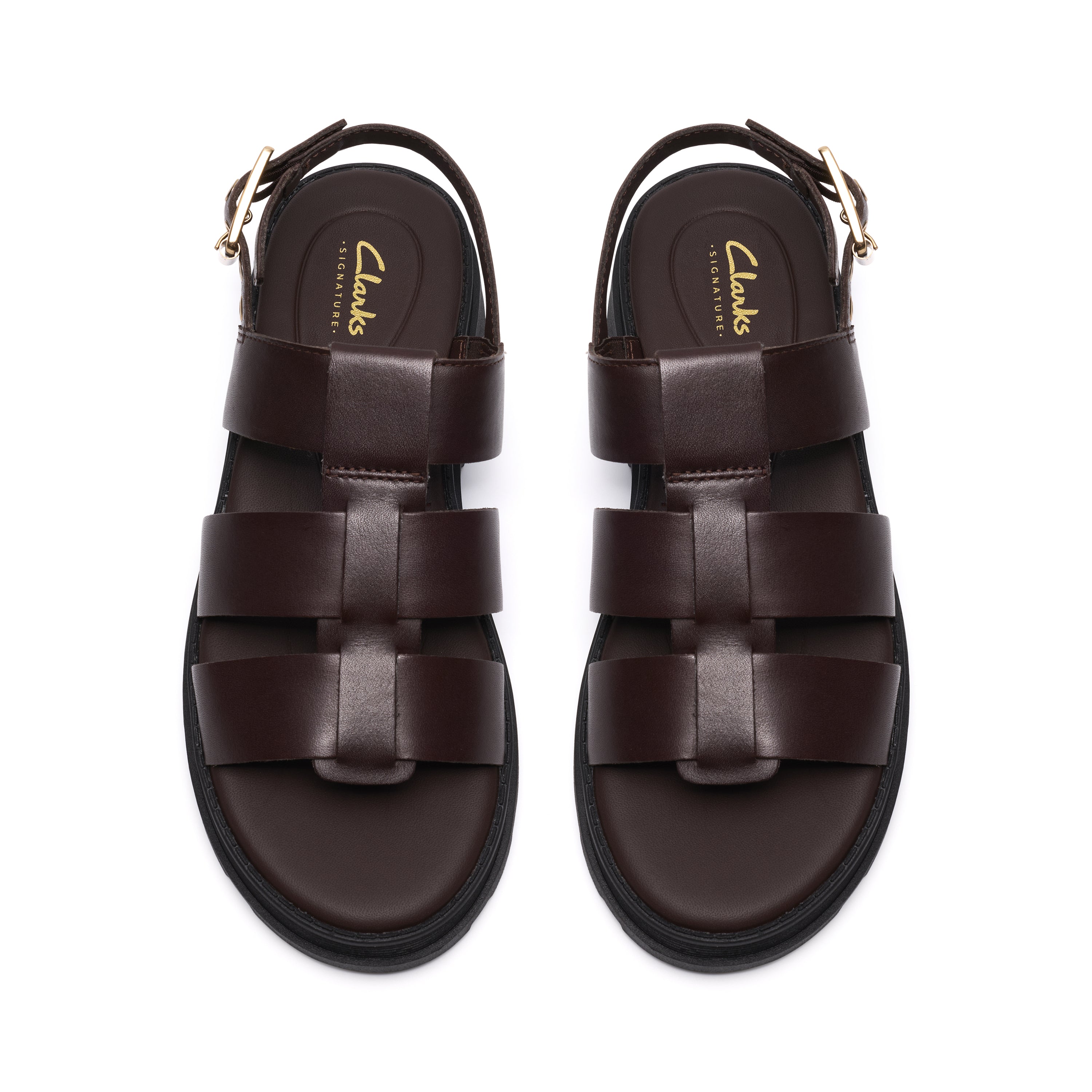 Orinoco3 Strap