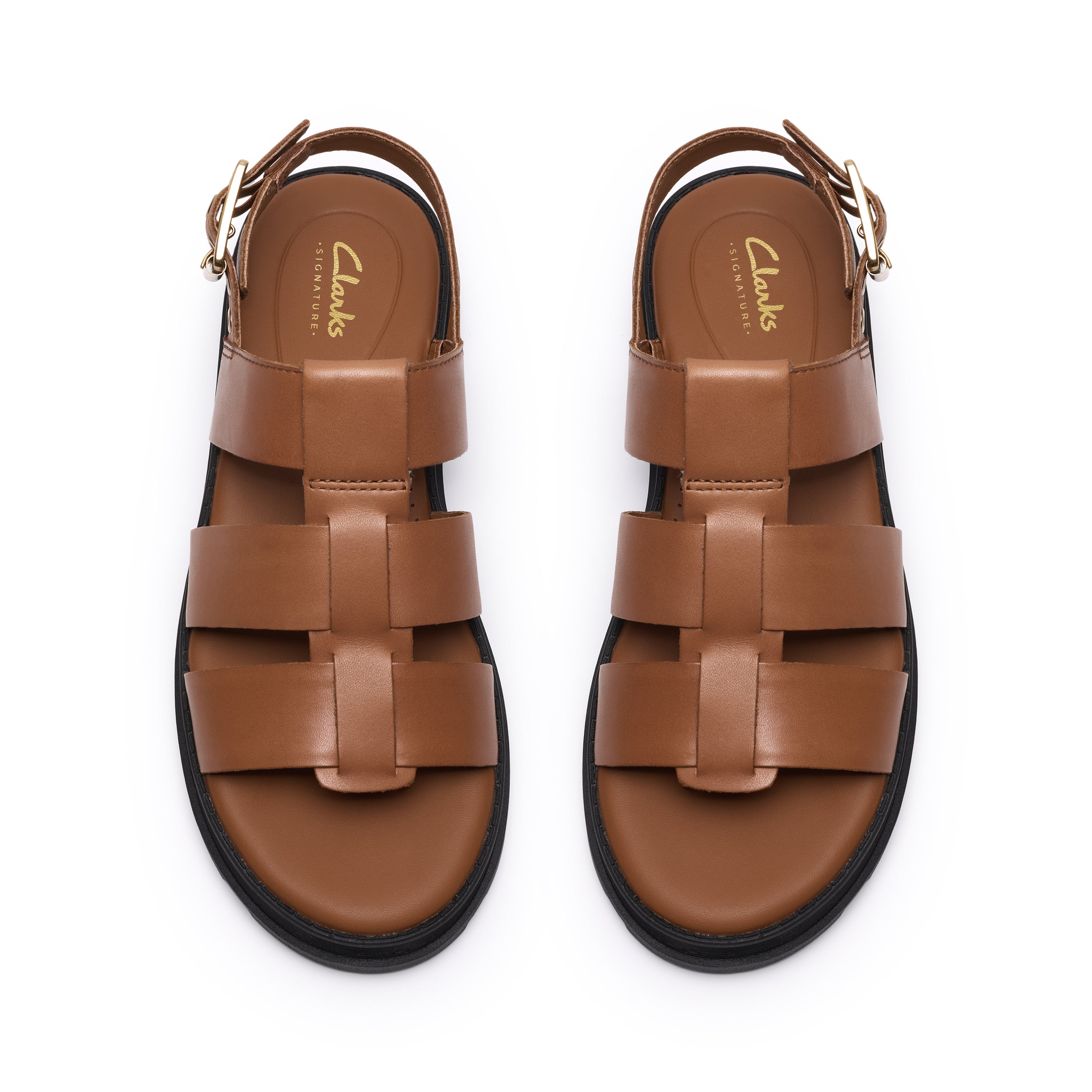Orinoco3 Strap