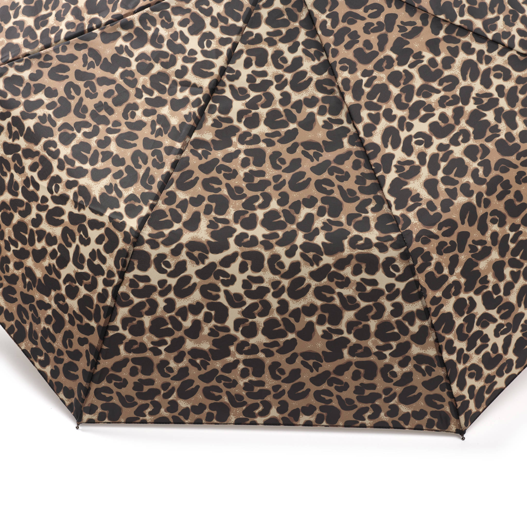 Clarks Umbrella