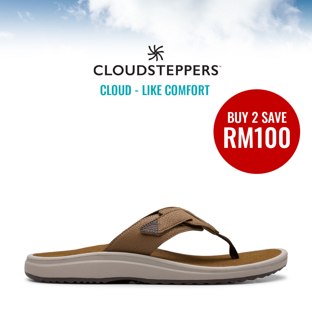 Cloudsteppers M Brinkley