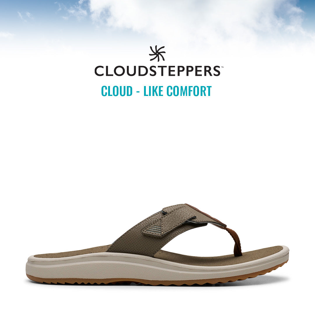 Cloudsteppers M Brinkley