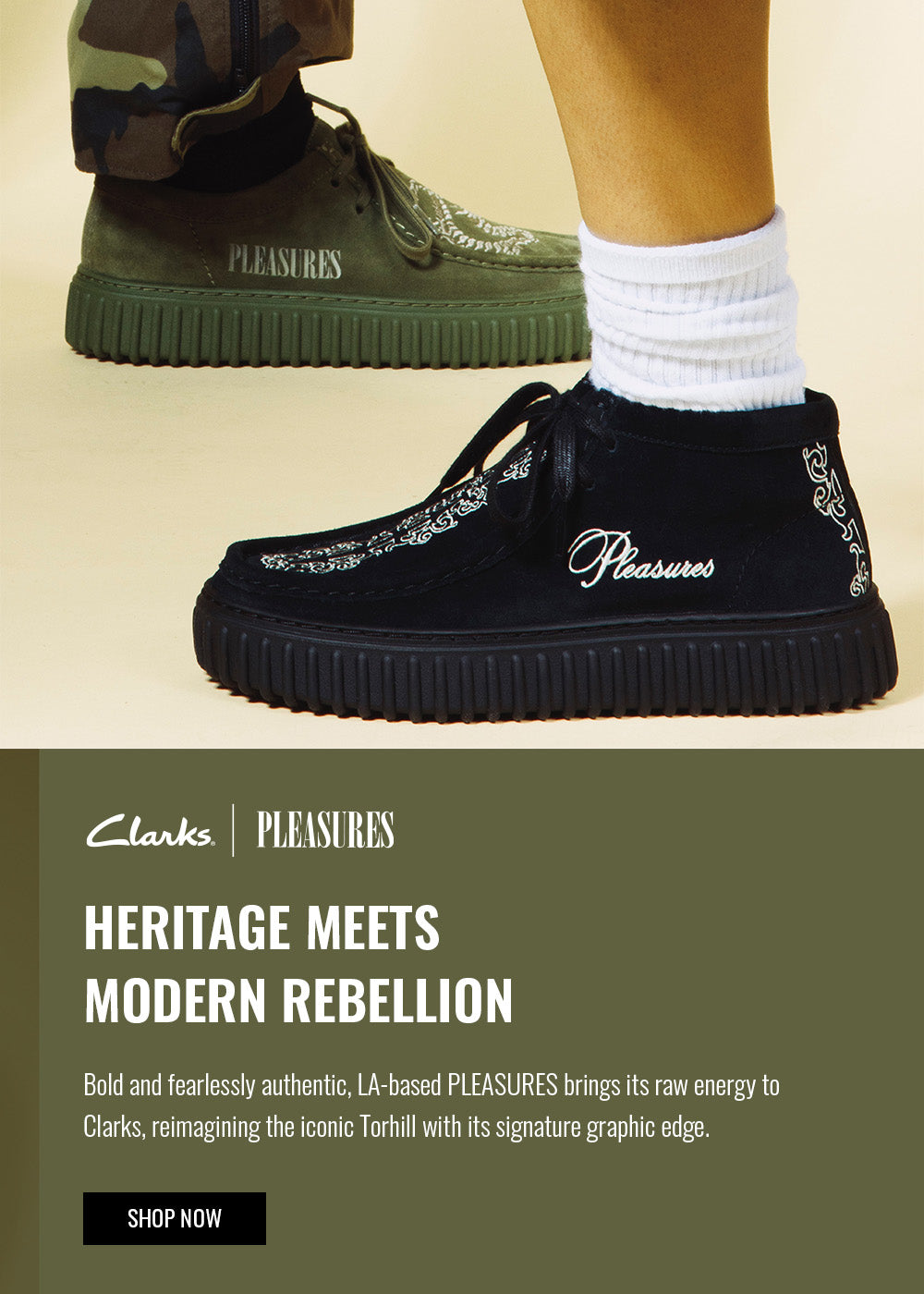 Clarks shoes online shop online